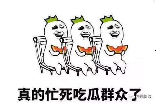 吃瓜群众升级,从围观者到深度参与者的蜕变之旅