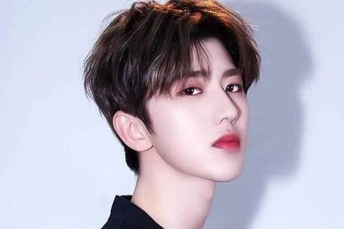 明星将龙图片,明星与龙的传奇邂逅