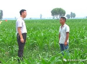 村干部忘关吃瓜