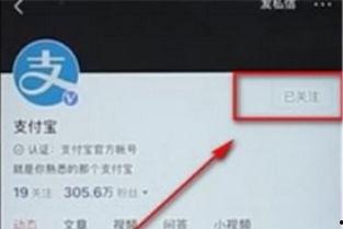 怎么取消头条的隐藏内容,教你如何取消头条隐藏内容