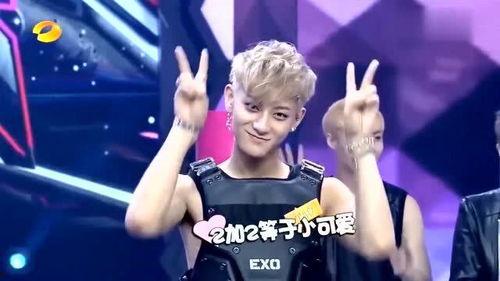 明星就是卖艺的,舞台上的艺术贩卖者