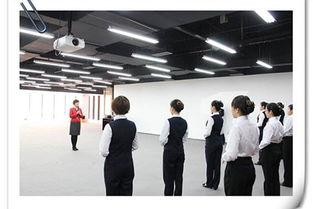 合肥接待网红,探索城市魅力新篇章