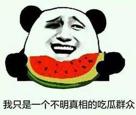 吃瓜事件群,揭秘网络事件背后的真相与反思