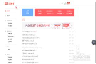 头条如何更改账户信息,头条账户信息修改全攻略，一键更新个人信息！