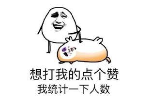 吃瓜爆笑段子图片,爆笑段子图鉴，笑料横生，欢乐无限