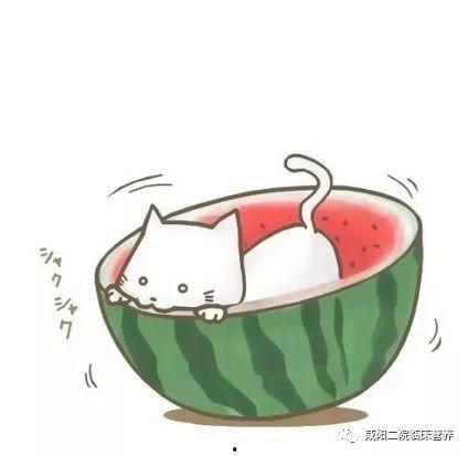 娱乐吃瓜头像男生动漫版,揭秘男生的二次元娱乐世界